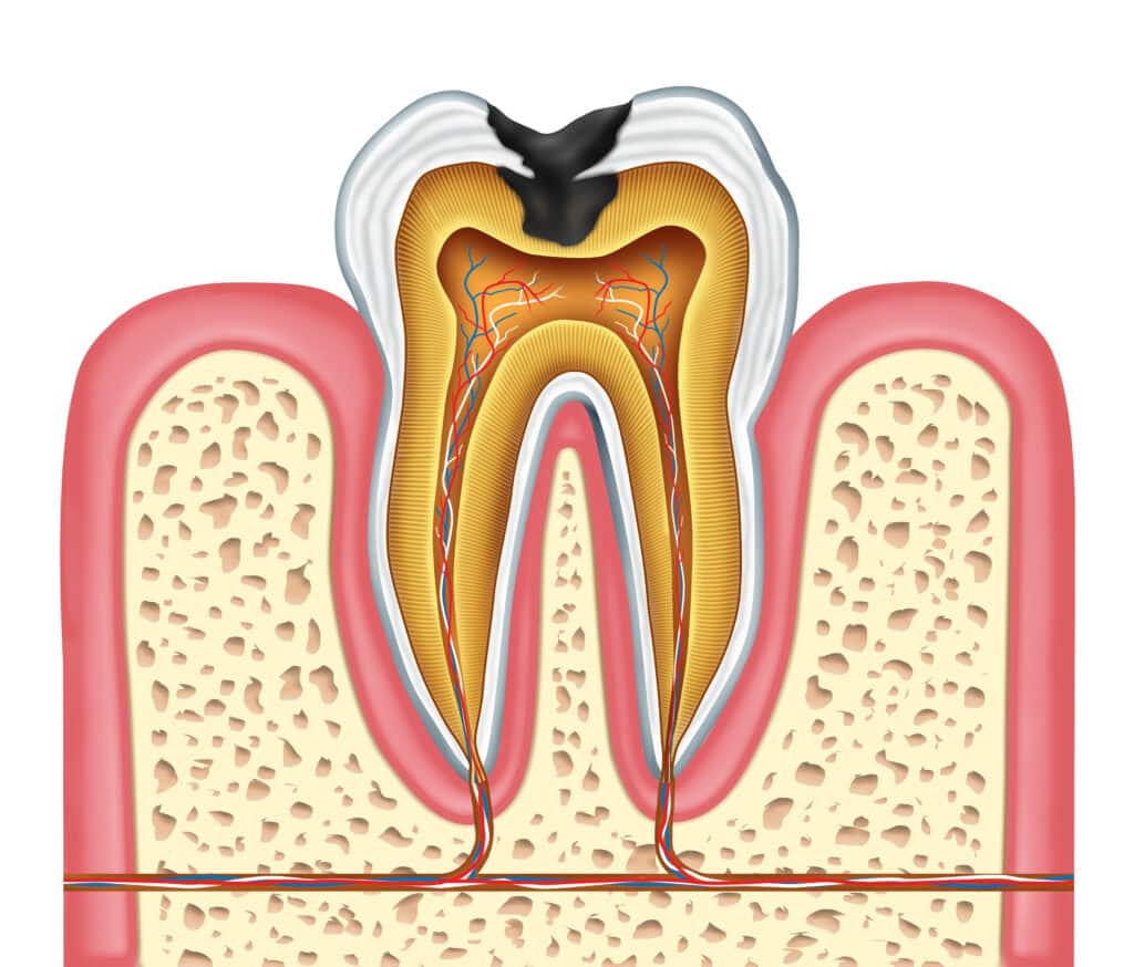 dental technology Syracuse UT